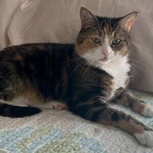 Meet your Posher, Raj